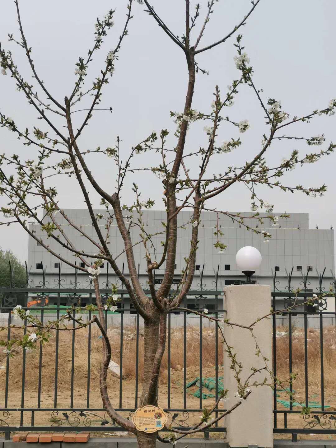 微信图片_20200425095451